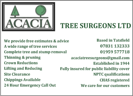 acacia tree surgeons