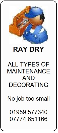 ray dry