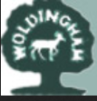 woldingham logo